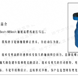 BMH系列并列油口九游(中国)
马达