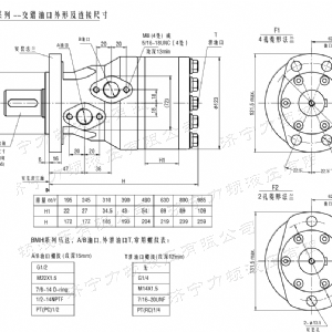 BMH系列交错油口九游(中国)
马达